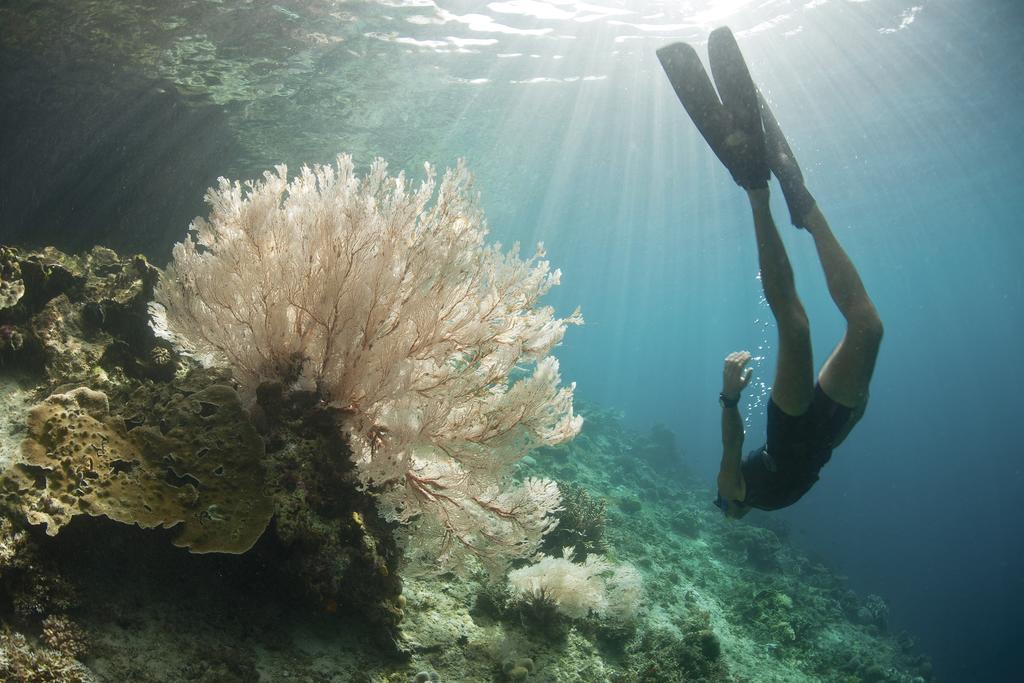 Villa Bahagia Nusa Lembongan Exteriér fotografie